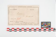 Etikett zu Bronzegehänge (NHMW-PRAE-026000)